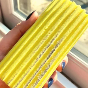 Damp Duster